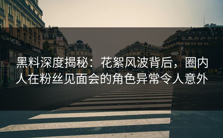 黑料深度揭秘：花絮风波背后，圈内人在粉丝见面会的角色异常令人意外  第1张