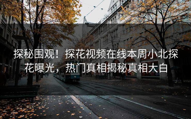 探秘围观！探花视频在线本周小北探花曝光，热门真相揭秘真相大白