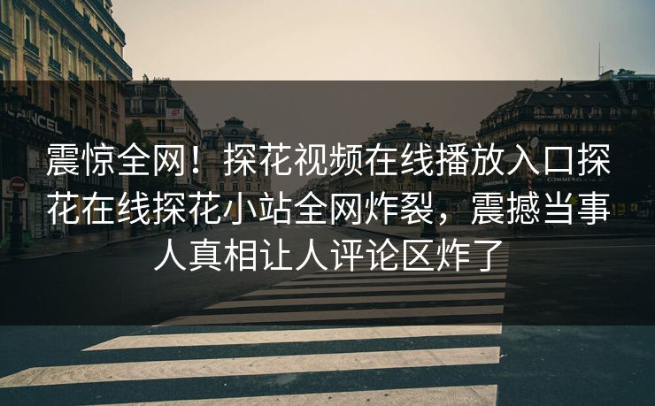 震惊全网！探花视频在线播放入口探花在线探花小站全网炸裂，震撼当事人真相让人评论区炸了