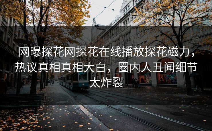 网曝探花网探花在线播放探花磁力，热议真相真相大白，圈内人丑闻细节太炸裂