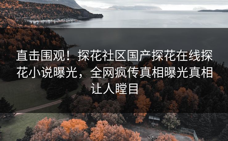 直击围观！探花社区国产探花在线探花小说曝光，全网疯传真相曝光真相让人瞠目