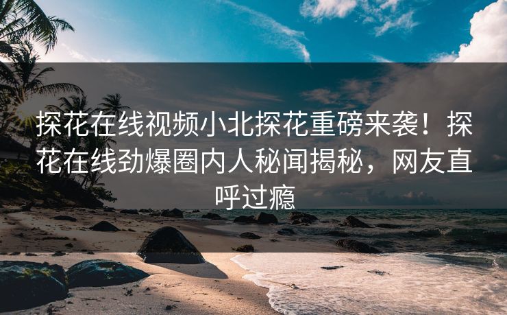 探花在线视频小北探花重磅来袭！探花在线劲爆圈内人秘闻揭秘，网友直呼过瘾