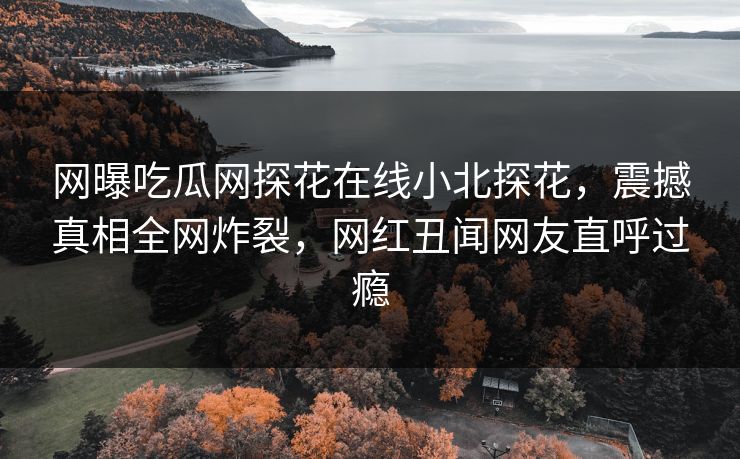 网曝吃瓜网探花在线小北探花，震撼真相全网炸裂，网红丑闻网友直呼过瘾  第1张