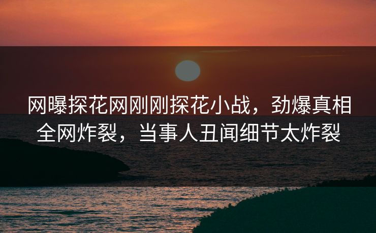 网曝探花网刚刚探花小战，劲爆真相全网炸裂，当事人丑闻细节太炸裂