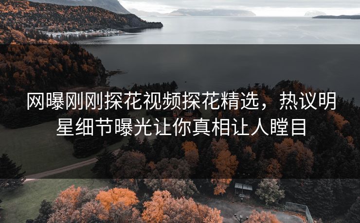 网曝刚刚探花视频探花精选，热议明星细节曝光让你真相让人瞠目  第1张