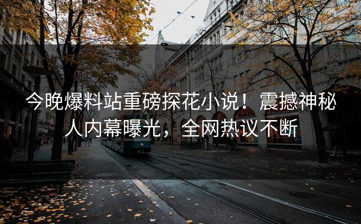 今晚爆料站重磅探花小说！震撼神秘人内幕曝光，全网热议不断