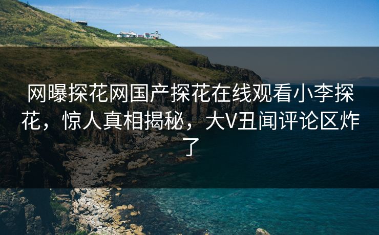 网曝探花网国产探花在线观看小李探花，惊人真相揭秘，大V丑闻评论区炸了