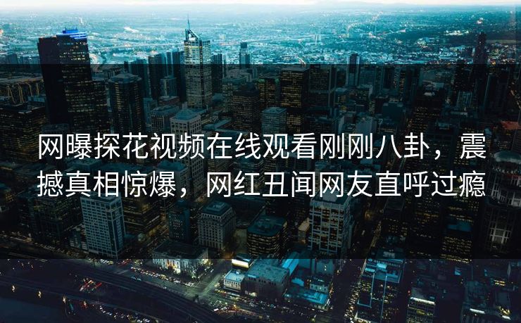 网曝探花视频在线观看刚刚八卦，震撼真相惊爆，网红丑闻网友直呼过瘾
