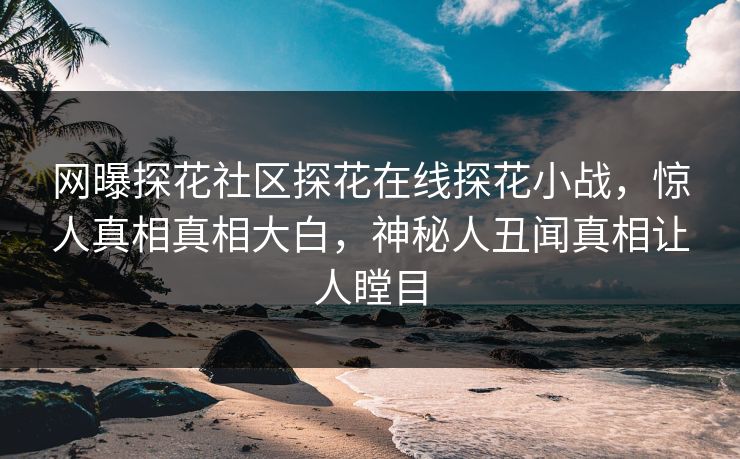 网曝探花社区探花在线探花小战，惊人真相真相大白，神秘人丑闻真相让人瞠目