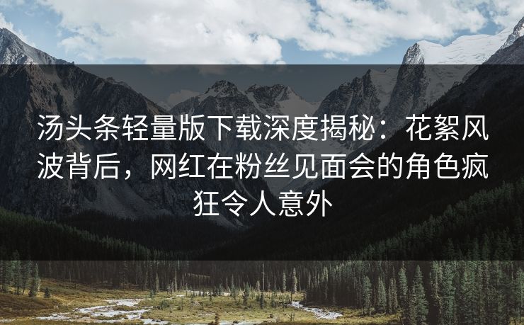 汤头条轻量版下载深度揭秘：花絮风波背后，网红在粉丝见面会的角色疯狂令人意外  第1张