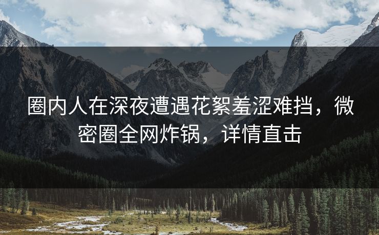 圈内人在深夜遭遇花絮羞涩难挡，微密圈全网炸锅，详情直击  第1张