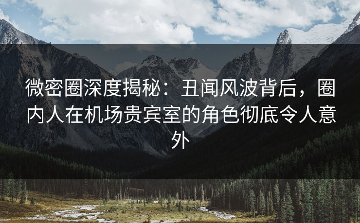 微密圈深度揭秘：丑闻风波背后，圈内人在机场贵宾室的角色彻底令人意外
