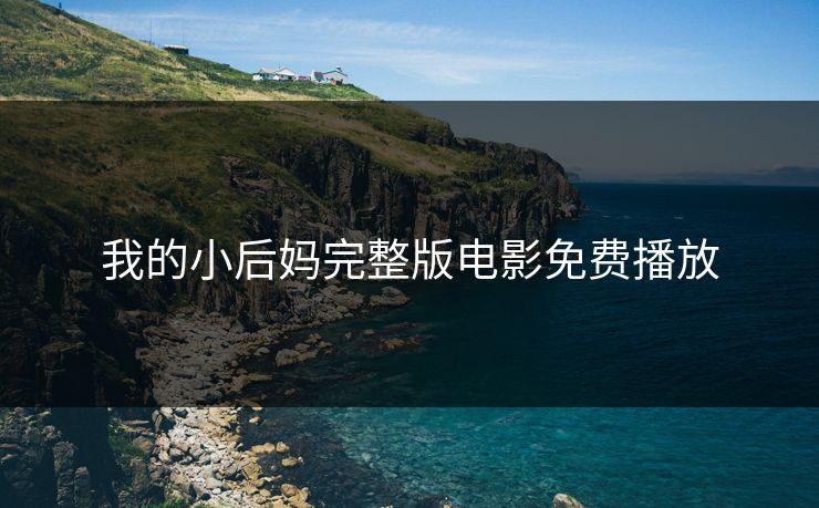 我的小后妈完整版电影免费播放