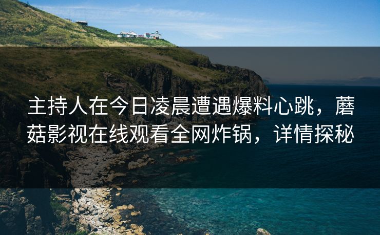 主持人在今日凌晨遭遇爆料心跳，蘑菇影视在线观看全网炸锅，详情探秘