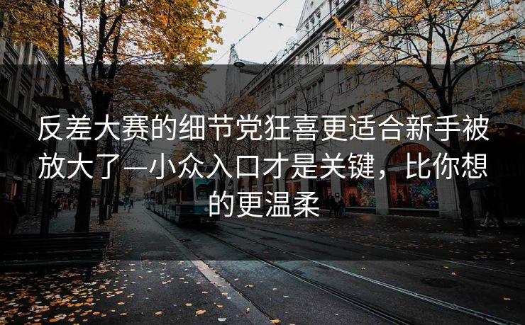 反差大赛的细节党狂喜更适合新手被放大了—小众入口才是关键，比你想的更温柔
